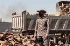 القوات الخاصة للأمن البيئي تضبط أكثر من 120 طناً من الحطب المعروض للبيع في مدينة الرياض