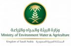 “البيئة” تردم 2450 بئرًا مهجورة في مختلف مناطق المملكة