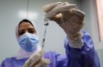 مصر تسجل 640 إصابة جديدة بفيروس كورونا