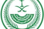 وزارة الداخلية : تمديد مهلة السماح بترخيص الأسلحة والذخائر غير النظامية