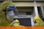 الجزائر تسجل 320 اصابة جديدة بفيروس كورونا