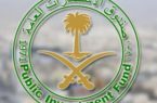 صندوق الاستثمارات العامة السعودي :  يؤسس بطولة العالم الأولى للقوارب الكهربائية