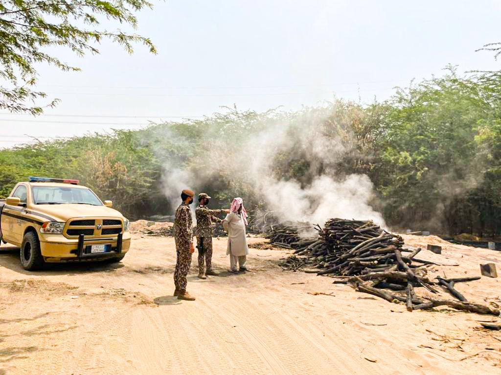 ضبط مخالفين لنظام البيئة يقطعون الأشجار لتحويلها إلى فحم بمنطقة مكة المكرمة