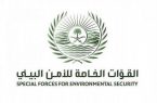 القوات الخاصة للأمن البيئي توقف (25) مخالفًا لنظام البيئة