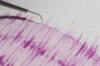زلزال بقوة 5.6 درجات يضرب مدينة بورت في غينيا الجديدة