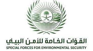 القوات الخاصة للأمن البيئي تضبط (20) مخالفًا لنظام البيئة