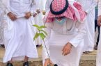 محافظ أبوعريش يُدشن حملة “لنجعلها خضراء”
