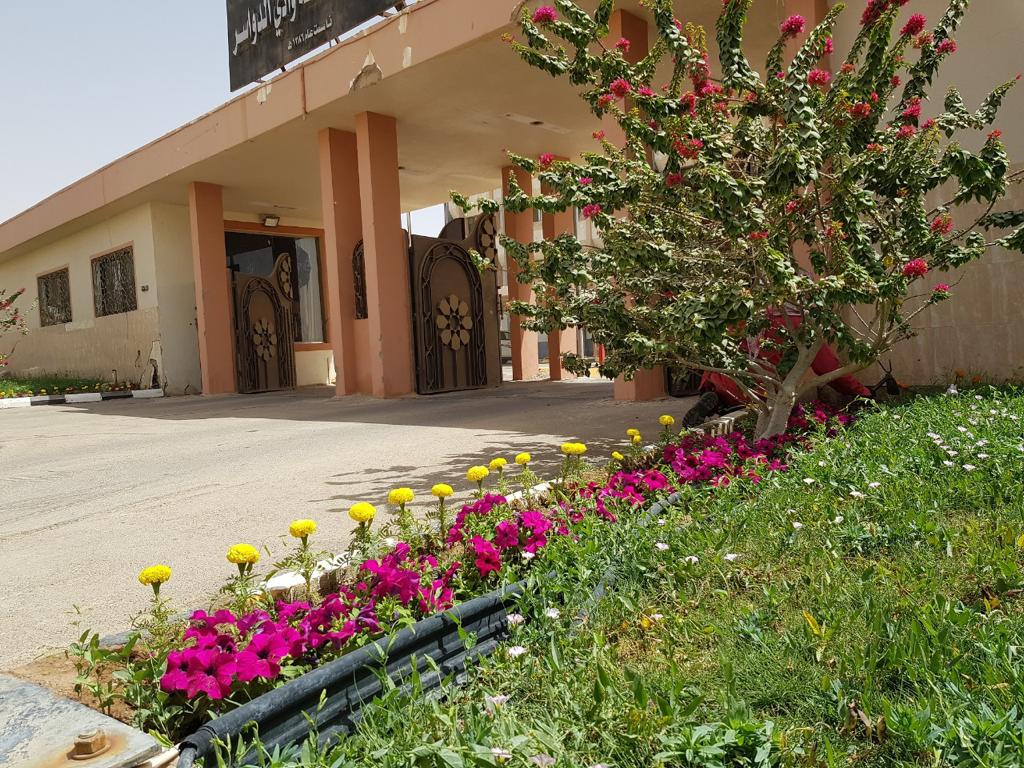 غرس 100 ألف زهرة في حدائق وميادين وادي الدواسر