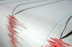 زلزال بقوة 5.1 درجات يضرب السواحل الشمالية لنيوزيلندا