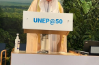 “الفضلي” يناقش أوجه التعاون مع المديرة التنفيذية لبرنامج الأمم المتحدة للبيئة