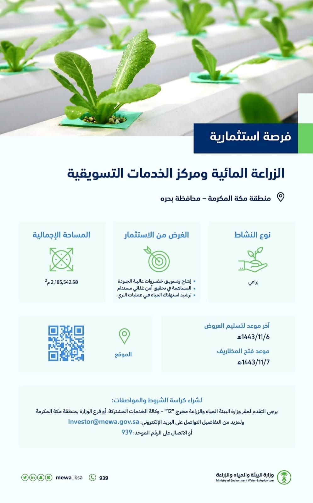 طرح فرص استثمارية لإنشاء مشاريع للزراعة المائية في محافظة بحره