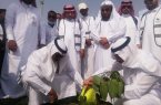 تدشين فعاليات أسبوع البيئة بمحافظة أبوعريش