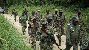 مقتل 52 شخصا بهجوم مسلح شمال شرقي الكونغو الديمقراطية