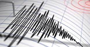 زلزال بقوة 5.5 درجات يضرب جنوب المكسيك