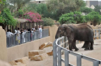إنشاء 16 حديقة حيوان في مناطق المملكة بتكلفة 3.9 مليار ريال