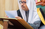 أمير الباحة يترأس جلسة مجلس المنطقة الثانية للعام 2022