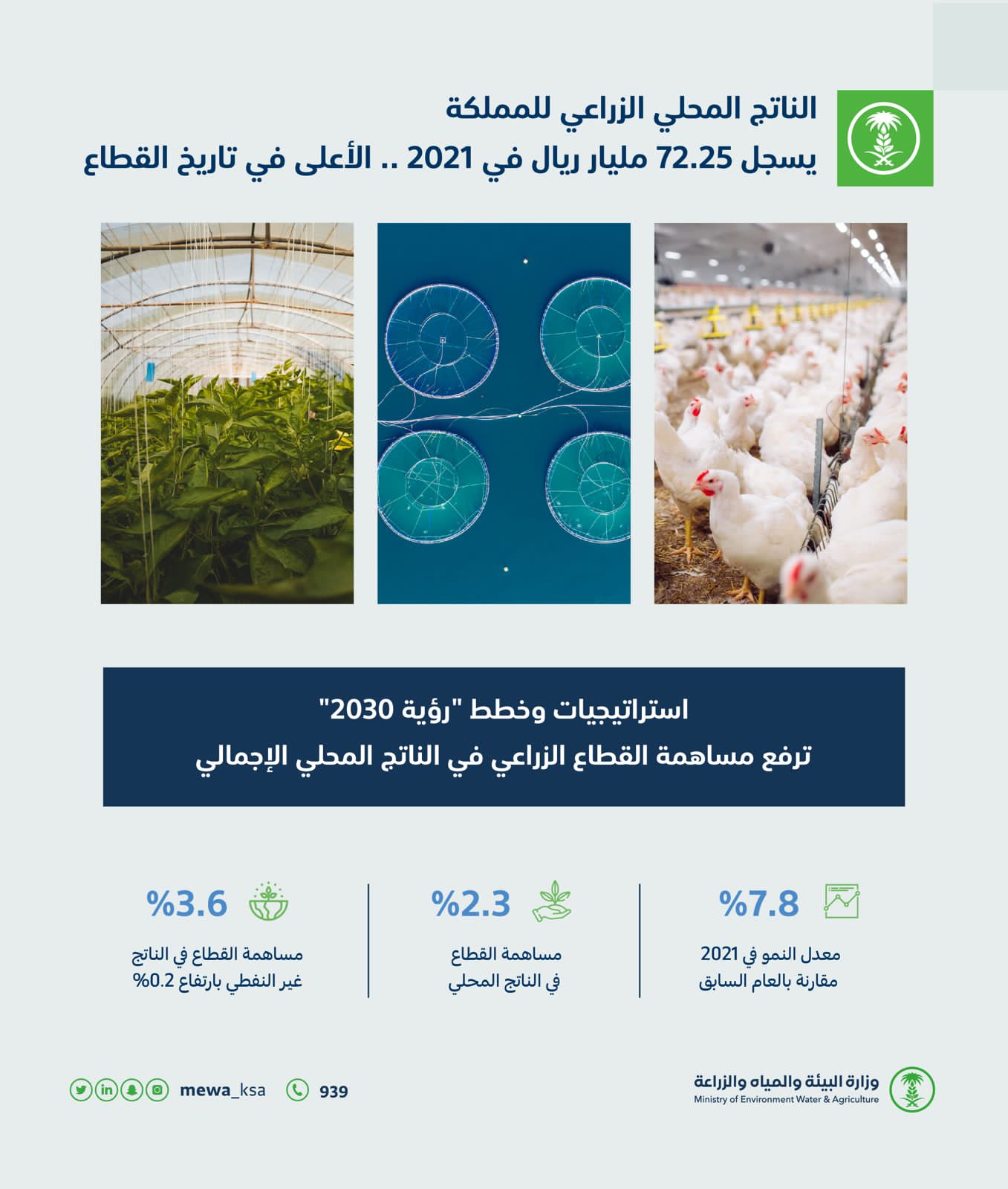 الناتج المحلي الزراعي للمملكة يسجل ٧٢.٢٥ مليار عام ٢٠٢١