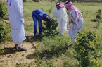 بيئة جازان تنفيذ برنامج أرشادي في مزارع البن بمحافظة الريث 