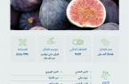 “البيئة”: المملكة تنتج 26.66 ألف طن من فاكهة التين
