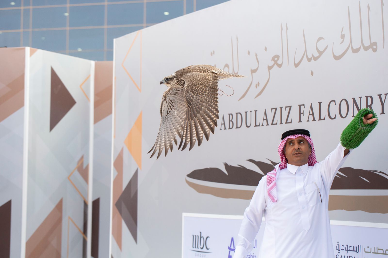 نوفمبر المقبل… انطلاق مهرجان الملك عبدالعزيز للصقور