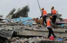 44 قتيلاً على الأقل في الزلزال الذي ضرب إندونيسيا