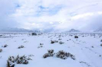 الطقس اليوم …تساقط الثلوج الخفيفة على مرتفعات منطقة تبوك