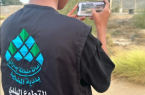 بلدية المضايا تدعو لمشاركتها الفرصة لرصد ومعالجة التشوه البصري