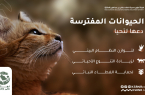 هيئة تطوير محمية الملك سلمان بن عبدالعزيز الملكية تعزز الوعي بالتوازن البيئي