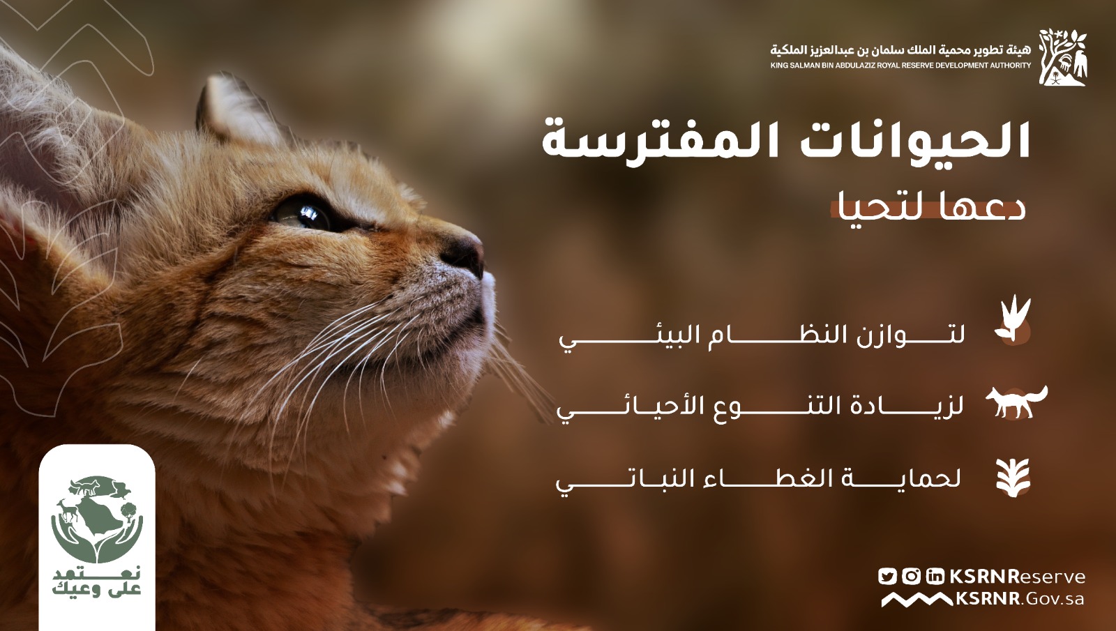 هيئة تطوير محمية الملك سلمان بن عبدالعزيز الملكية تعزز الوعي بالتوازن البيئي